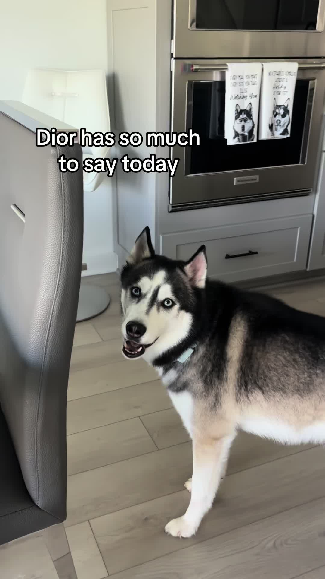 @lifewith2huskies