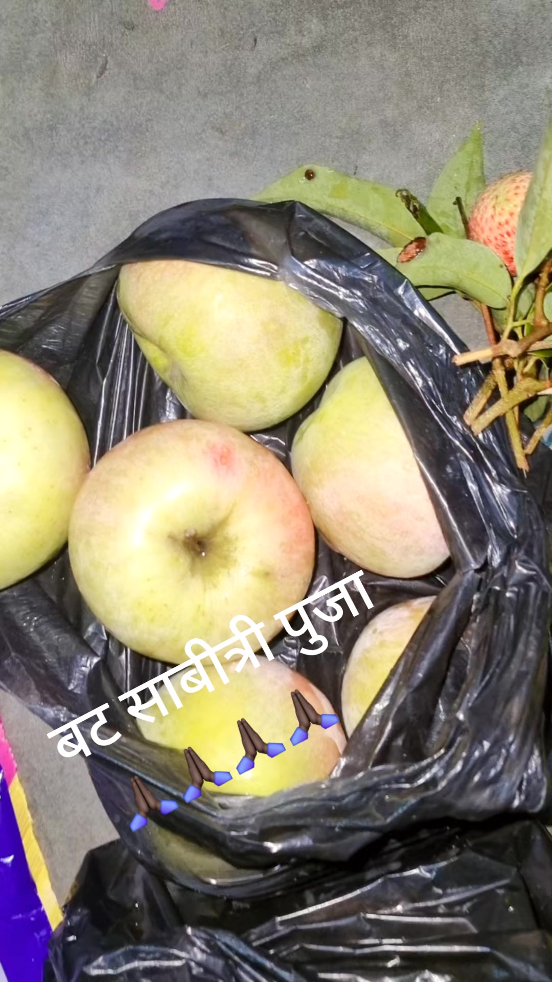 @Rita yadav tealer and palar❤️