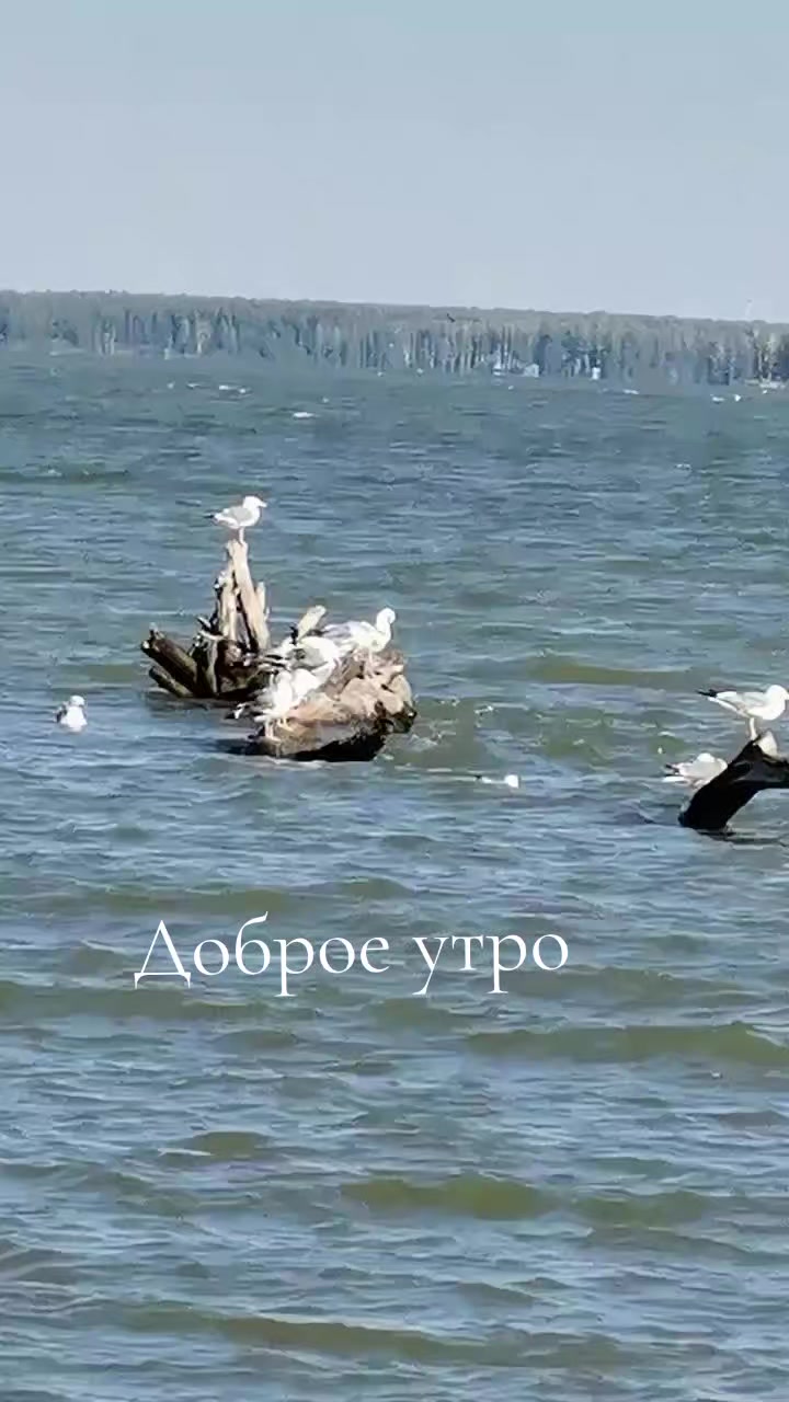@Анастасия