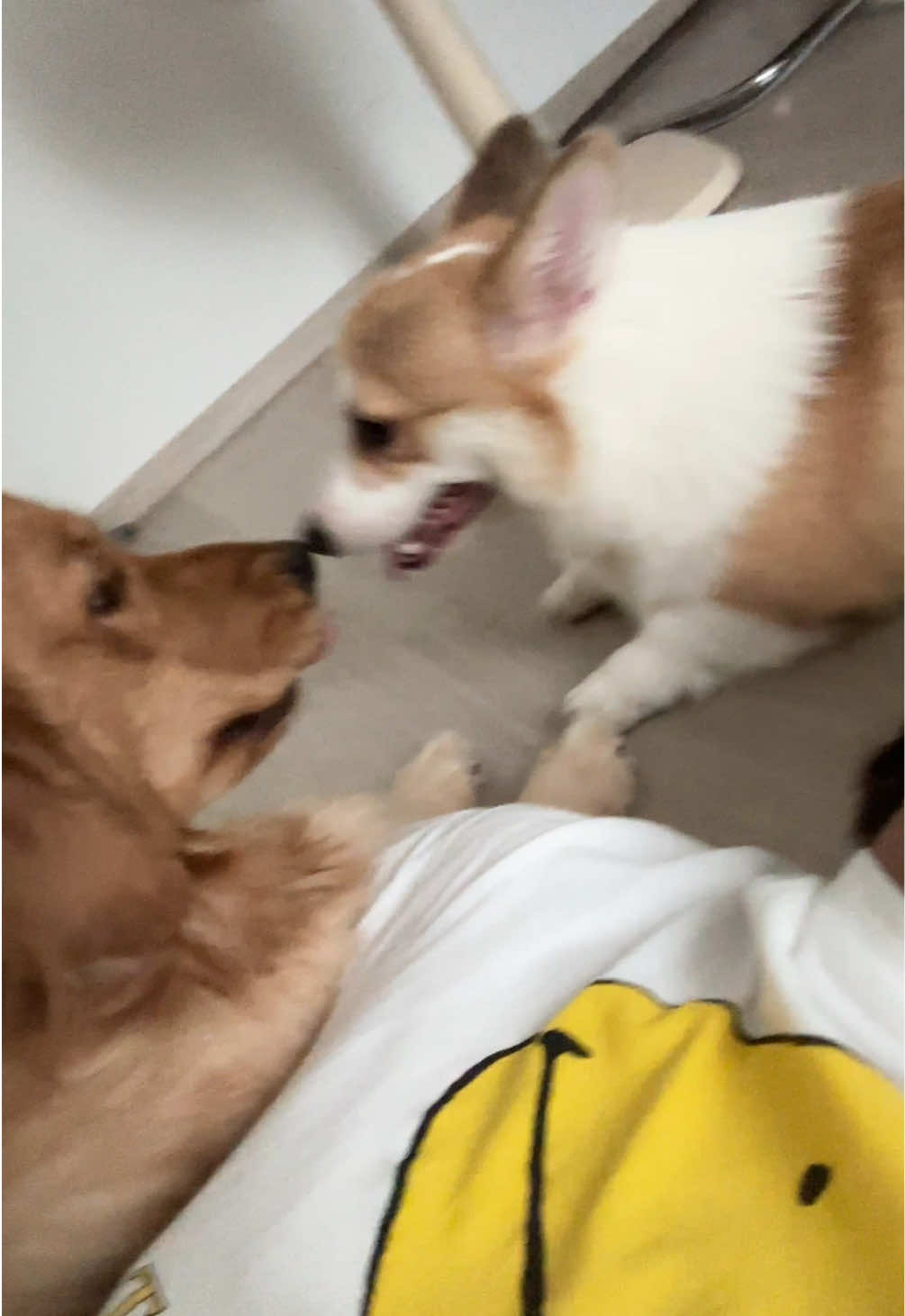 @ซับซัพทรัพทรัพย์🥣