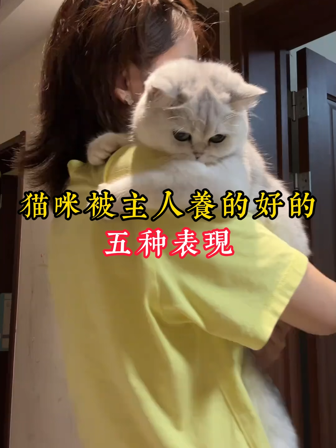 @catology