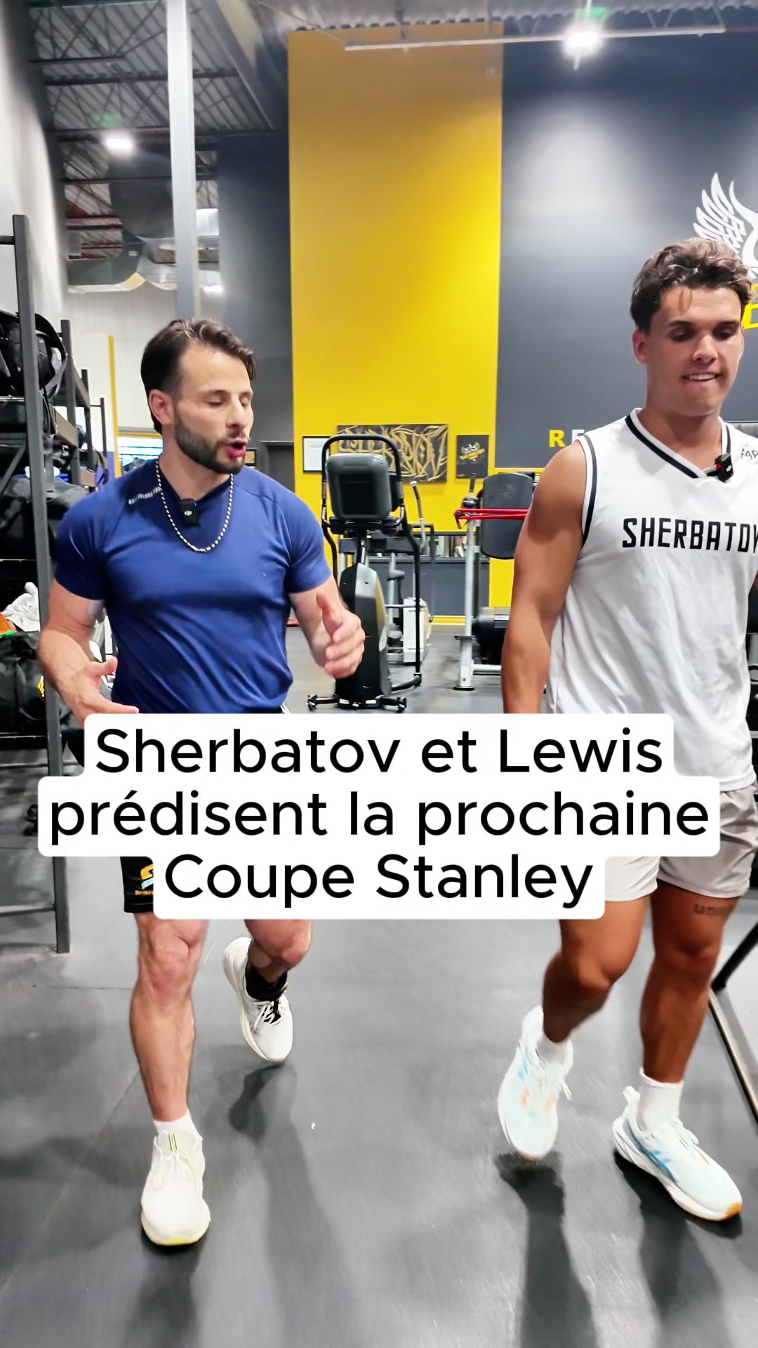 @Eliezer Sherbatov