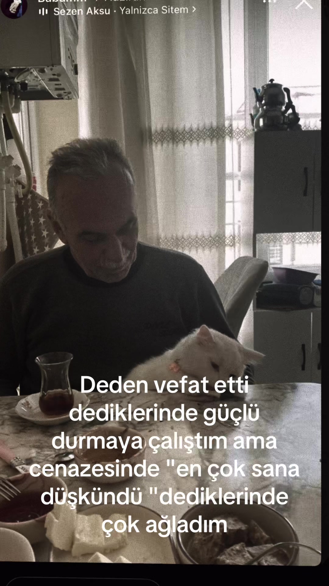 @gamzenr29
