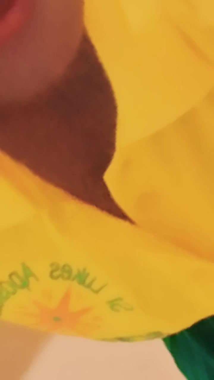 @Conxollar