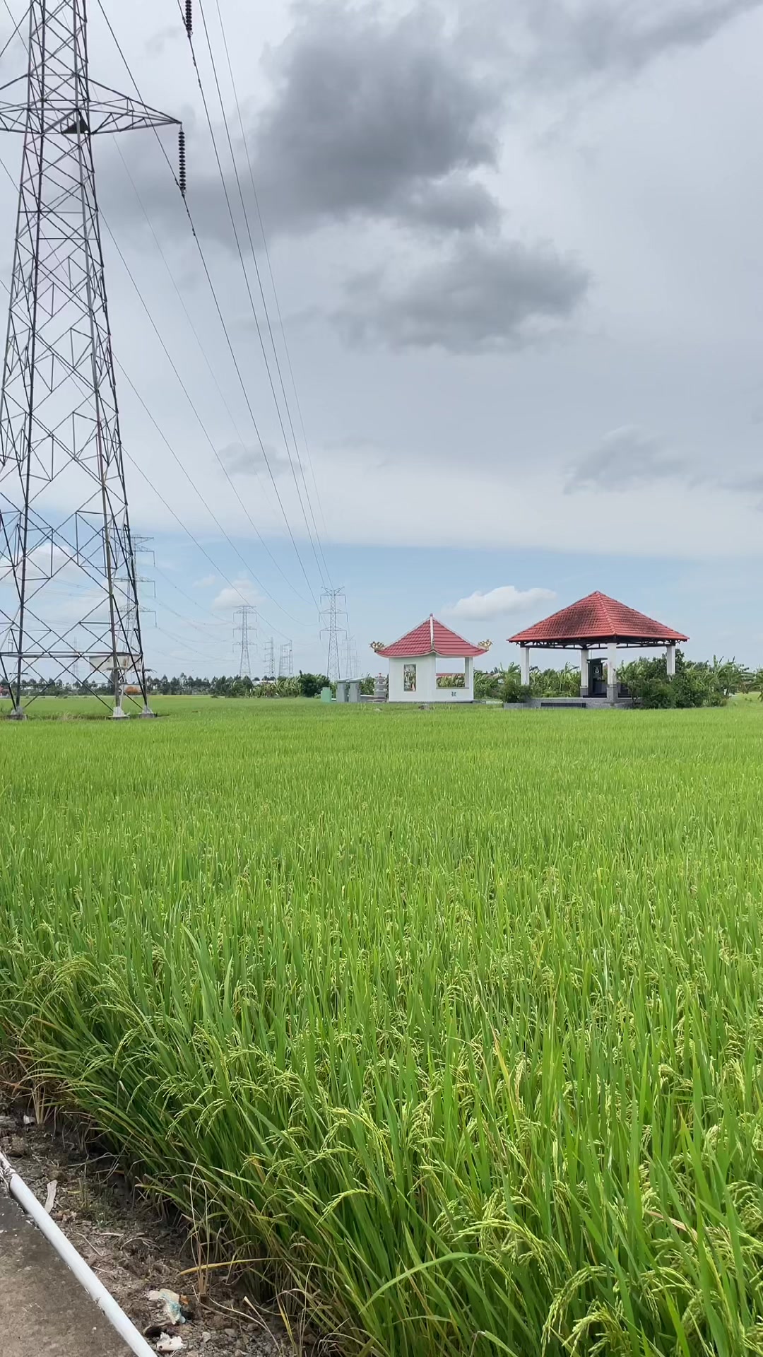 @Minh Nguyệt Yoga