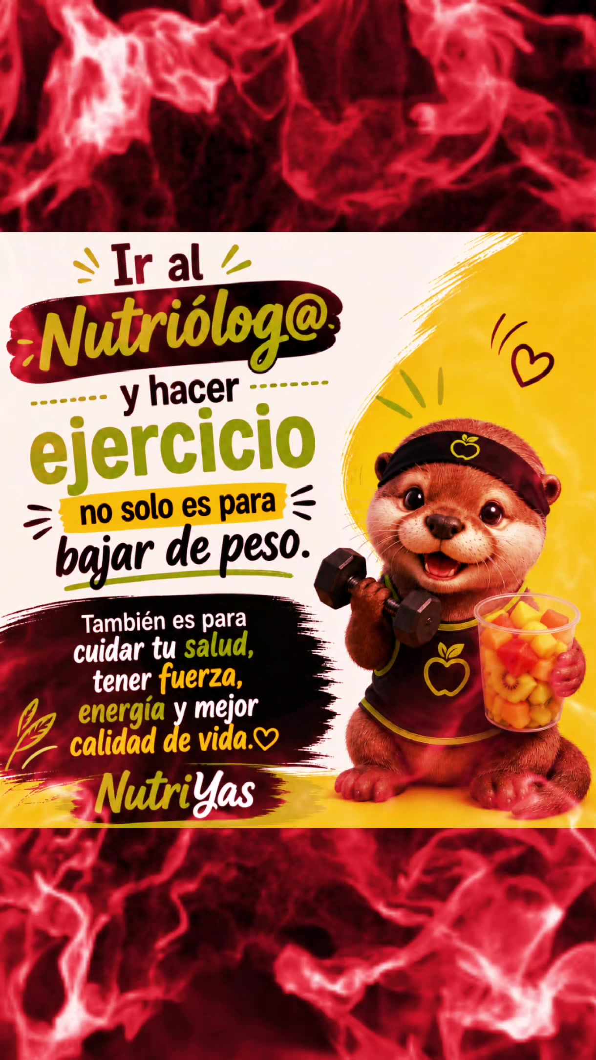 @Nutricionista Rosselin