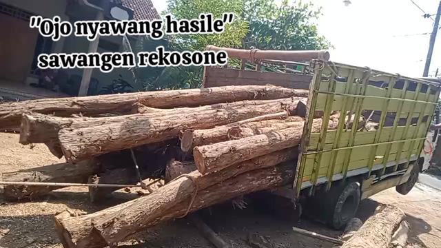 @alvriansyahputrap