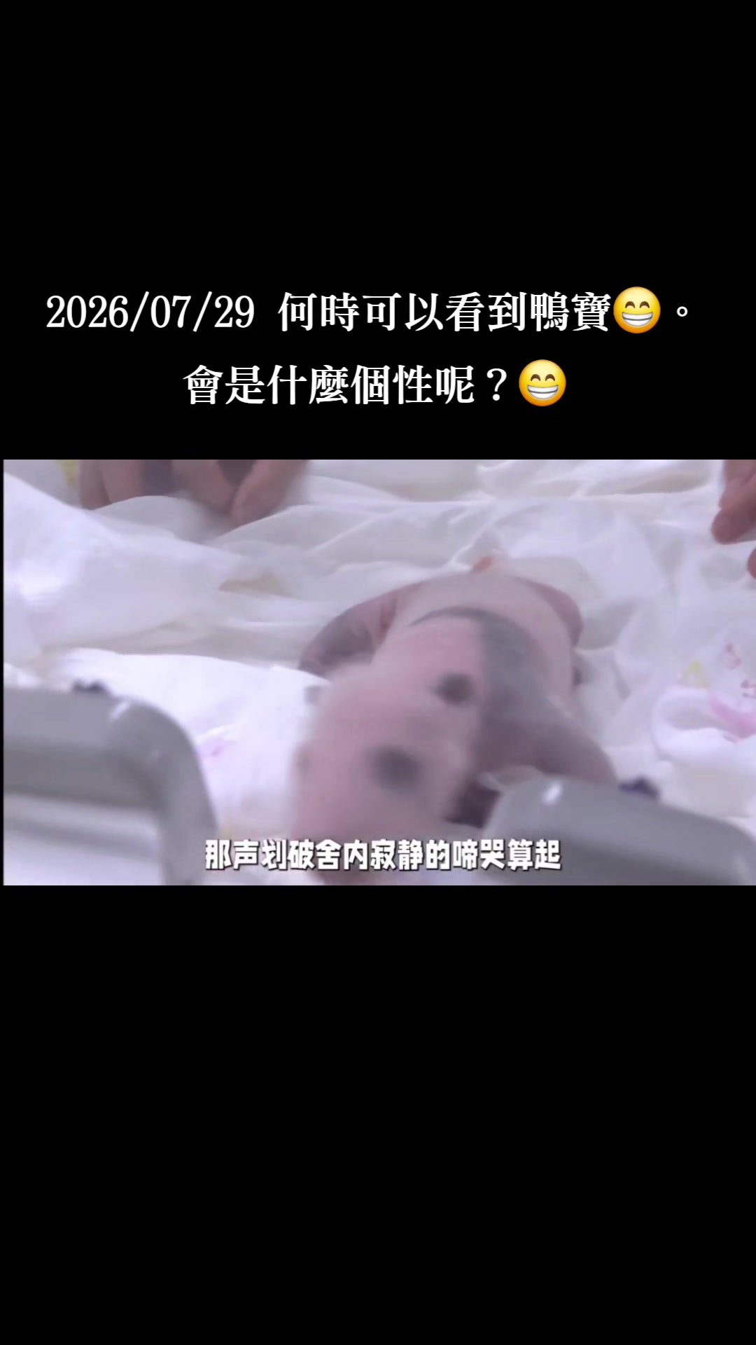 @福寶需要愛的抱抱