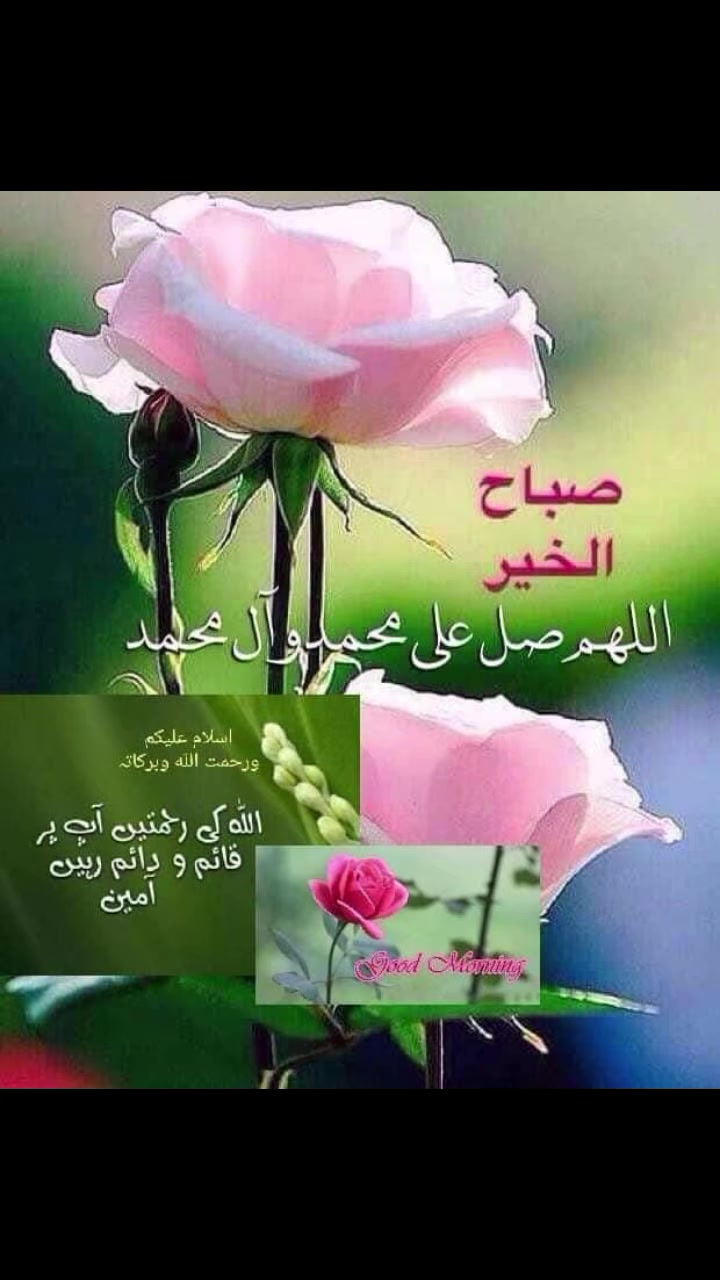 @Tahir kk