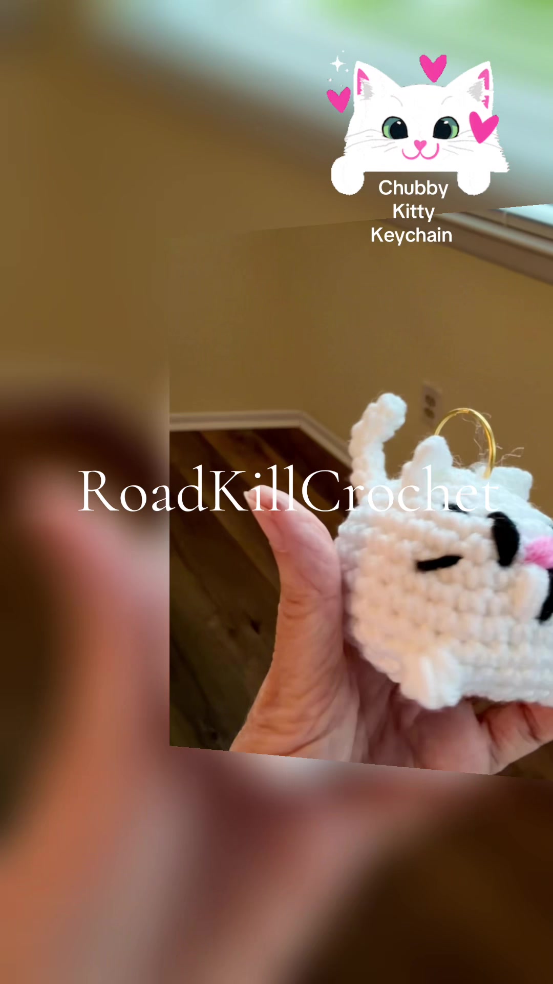 @Road Kill Crochet