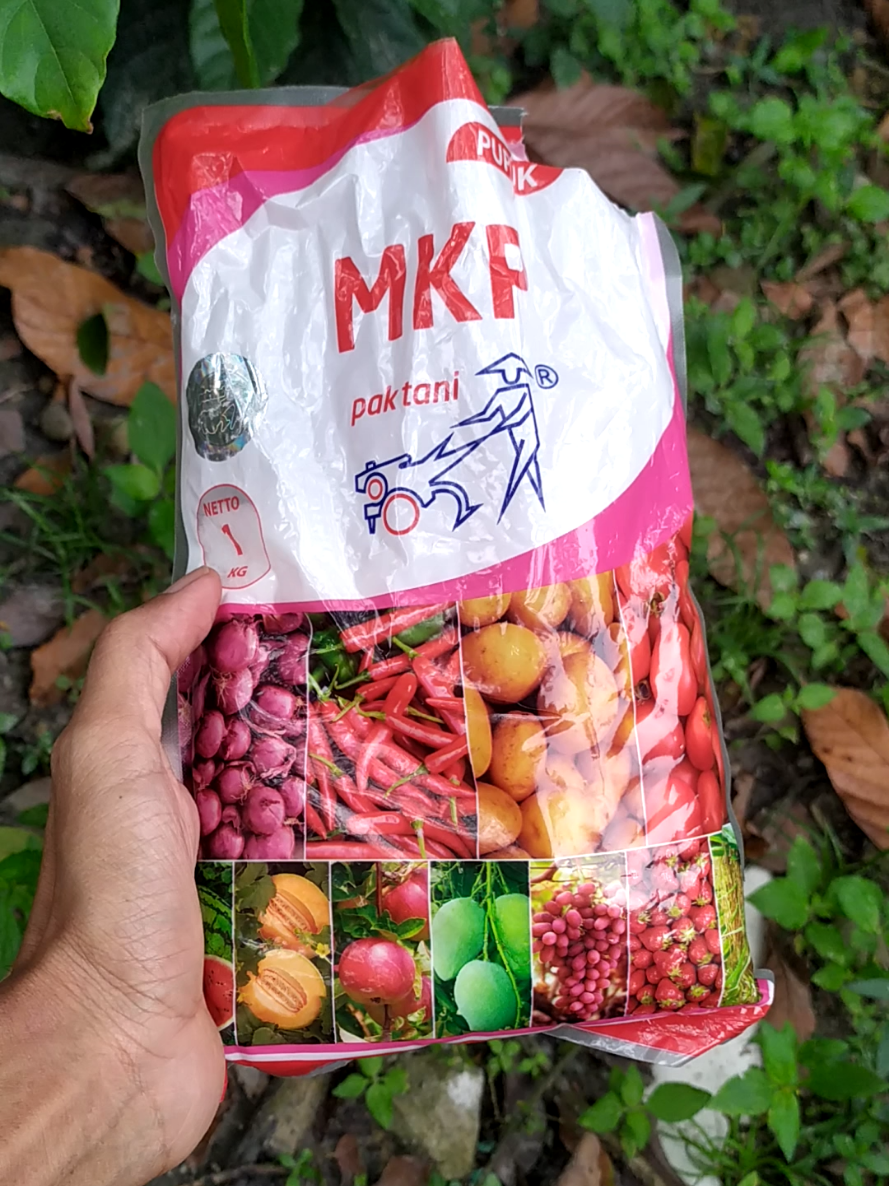 @koliang81