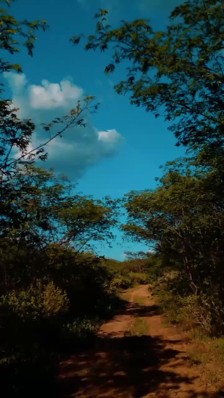 @Vanuza❤️&zwj;🔥
