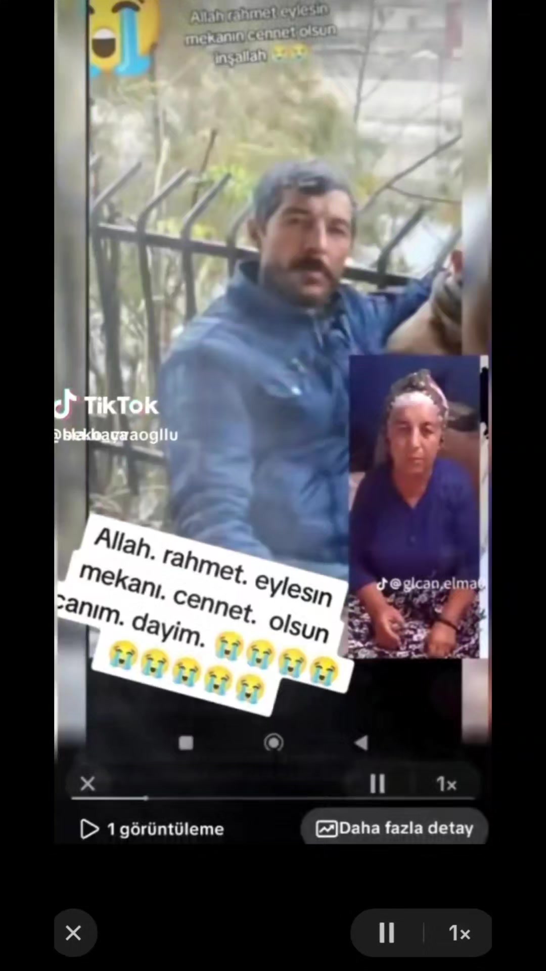 @sedef demir