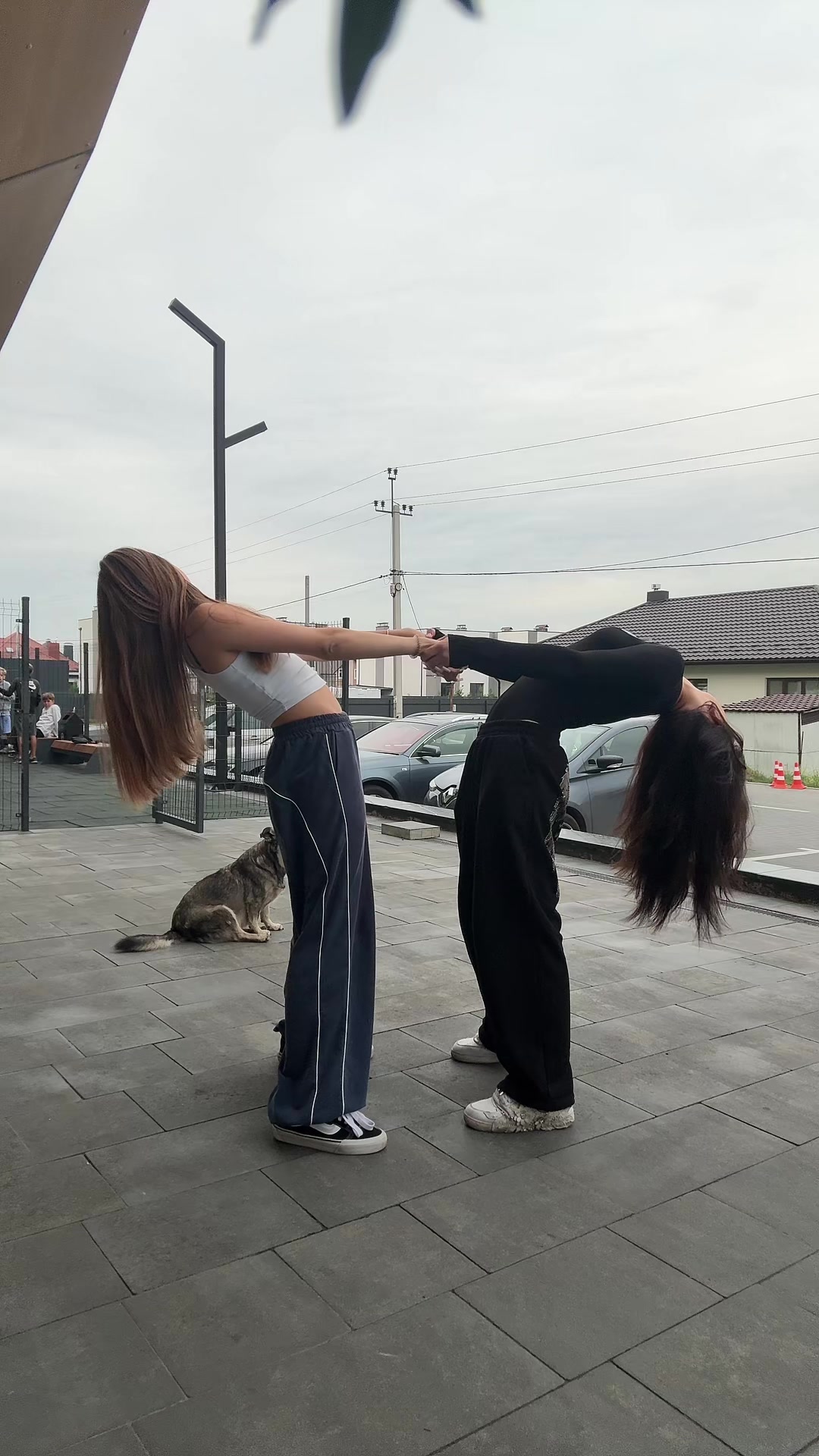 @Елька🧸