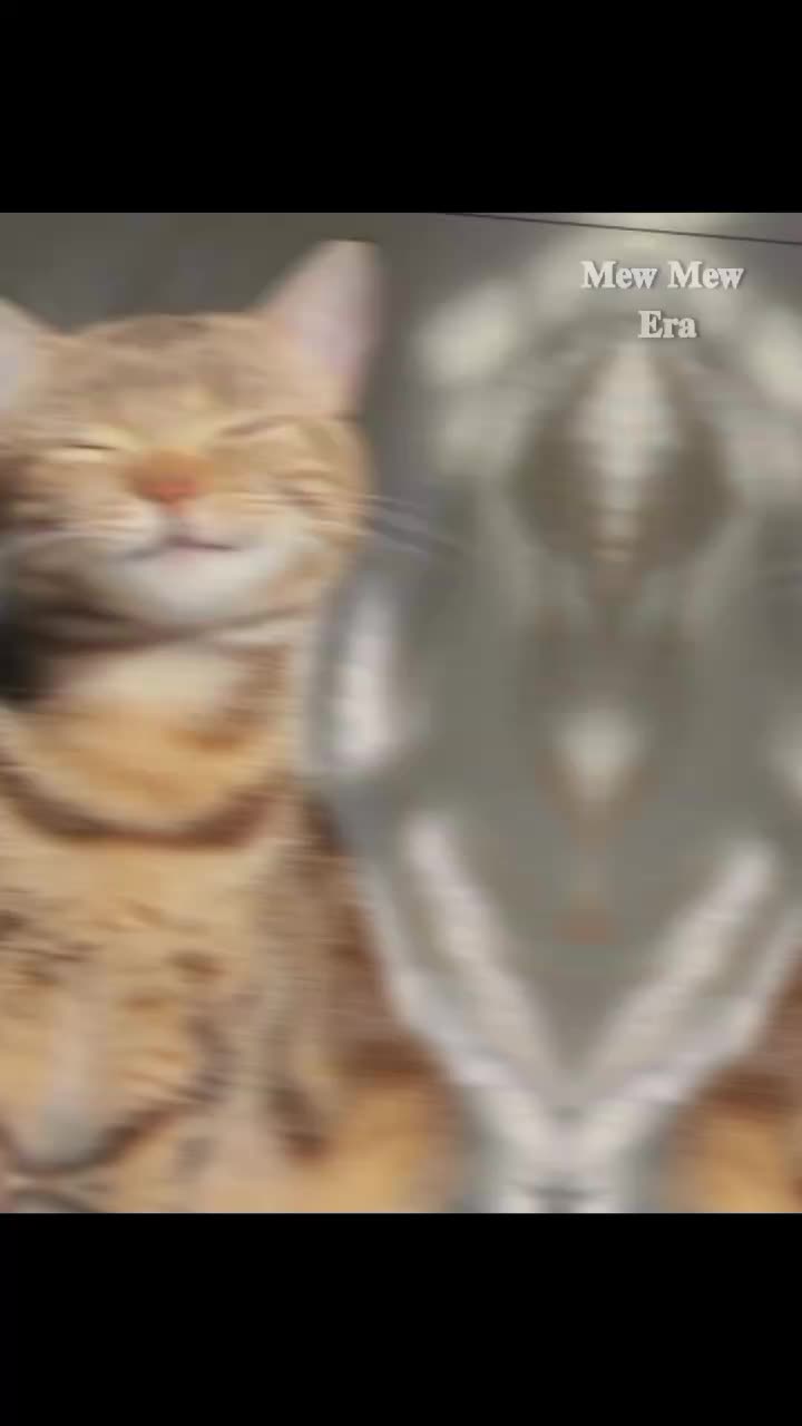 @ᯓ𝐄𝐫𝐚 𝐌𝐢𝐮ᥫ᭡