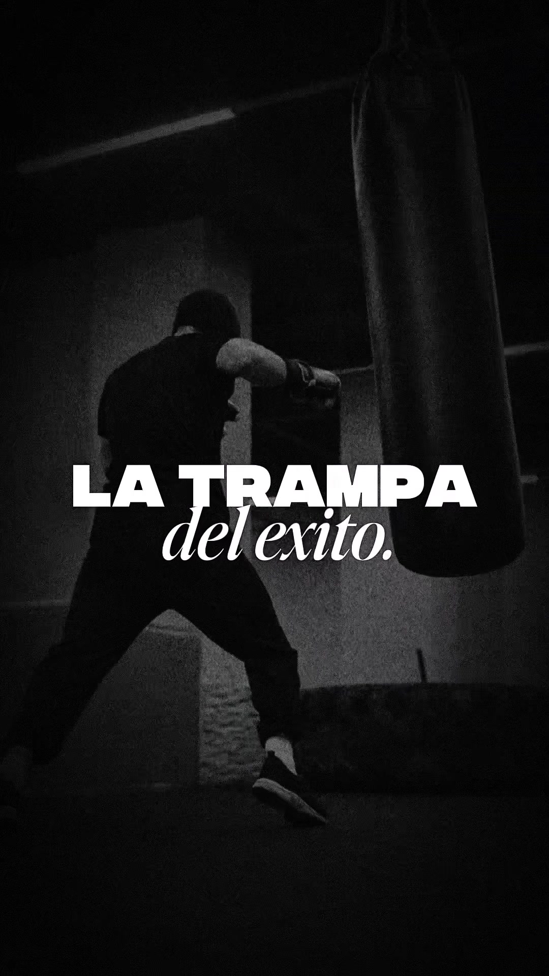 @MODO BESTIA | DISCIPLINA