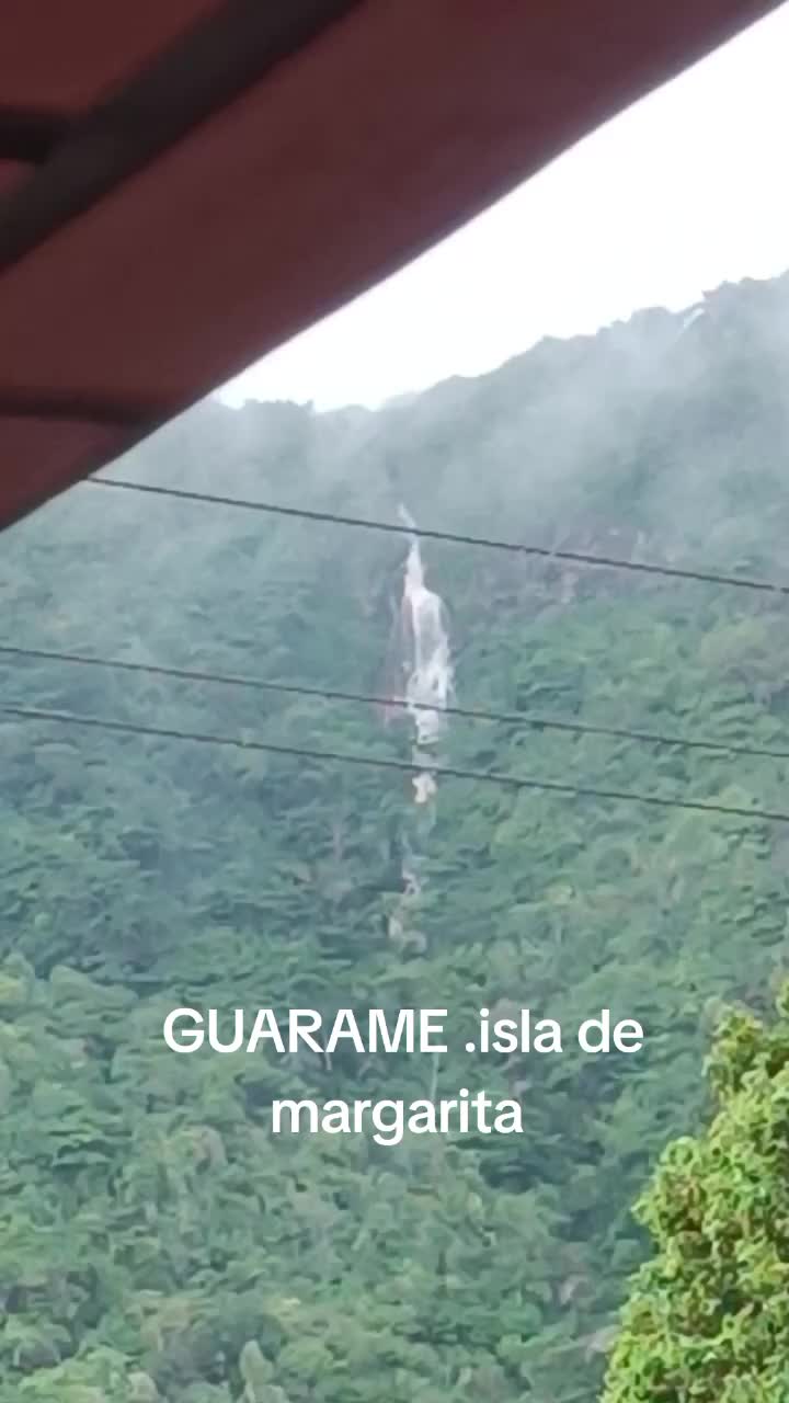@Darwin G&oacute;mez