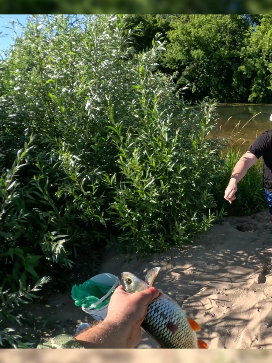 @Колька Рыбак👦🎣