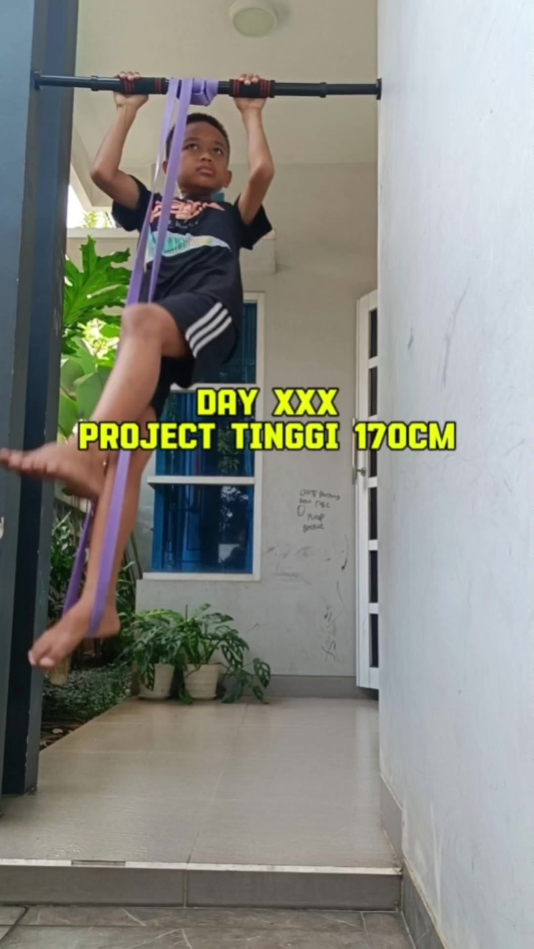 @videsvistore