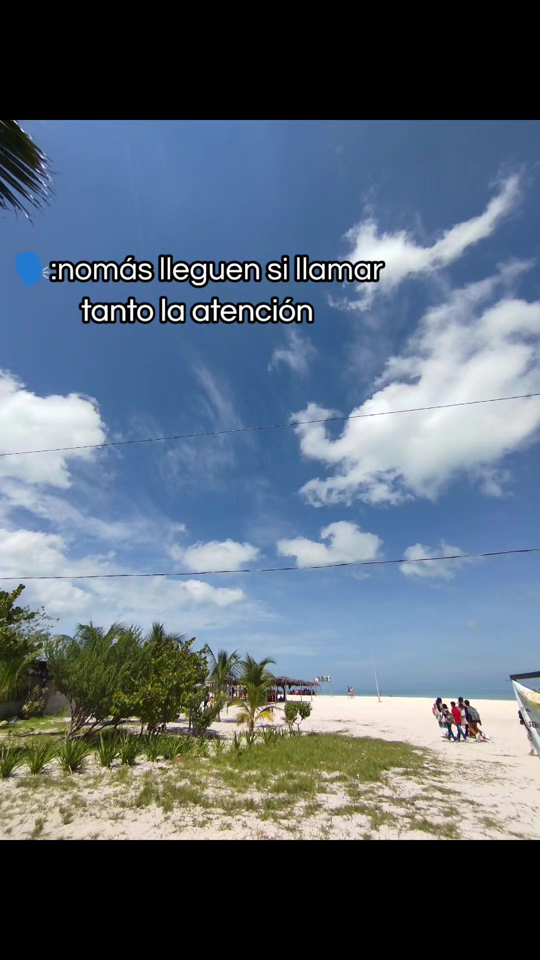 @𝘔𝘢𝘶 𝘋𝘛𝘙𝘹𝘻𝘻