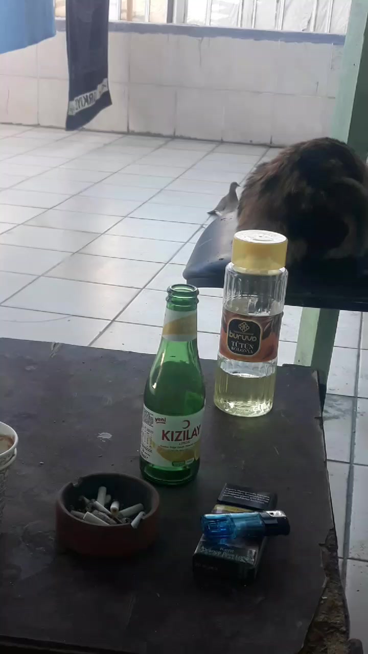 @Ismet Şahin188