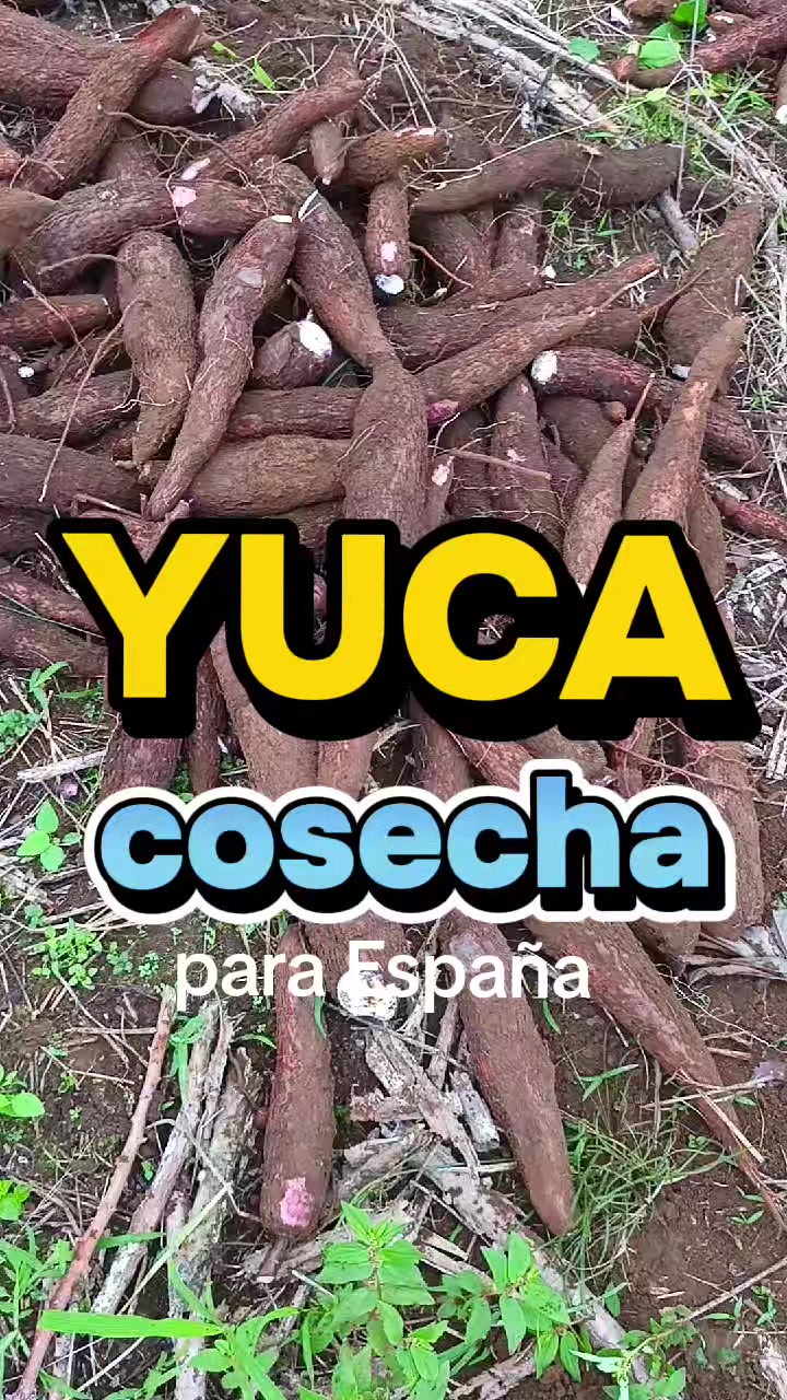 @Enrique Togan