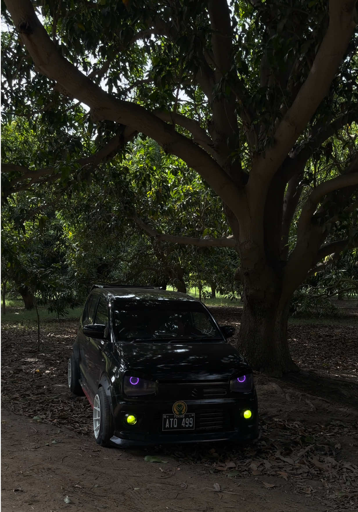@🖤DARK BEAST🖤