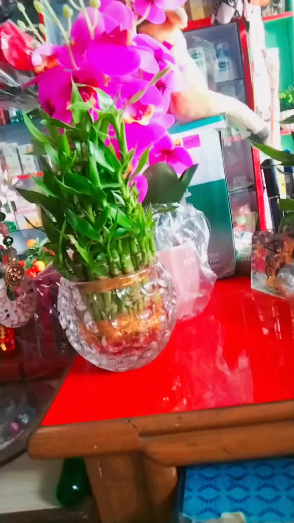 @Dipa Thapa Dipson