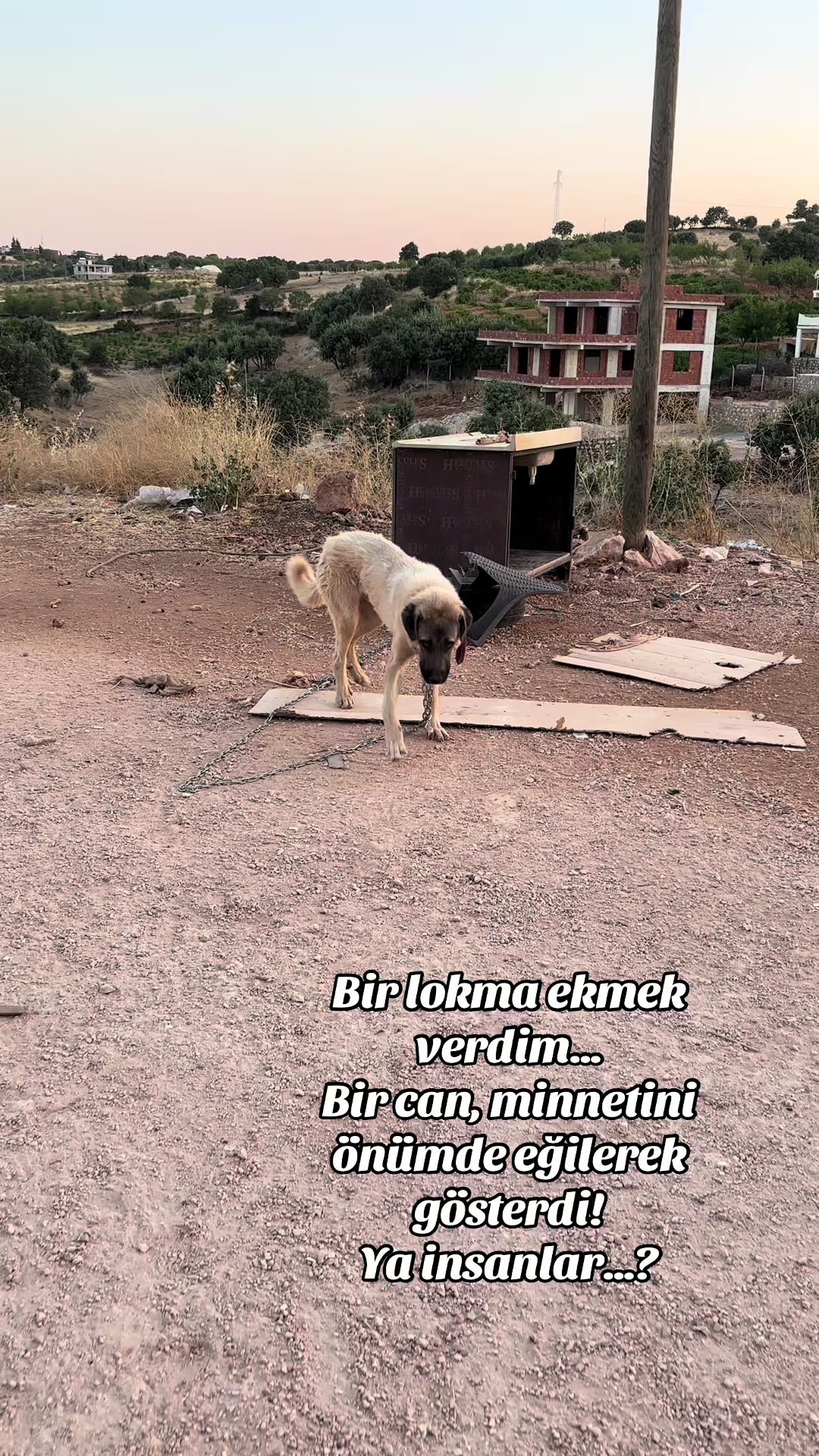 @Pınar AWZEYD
