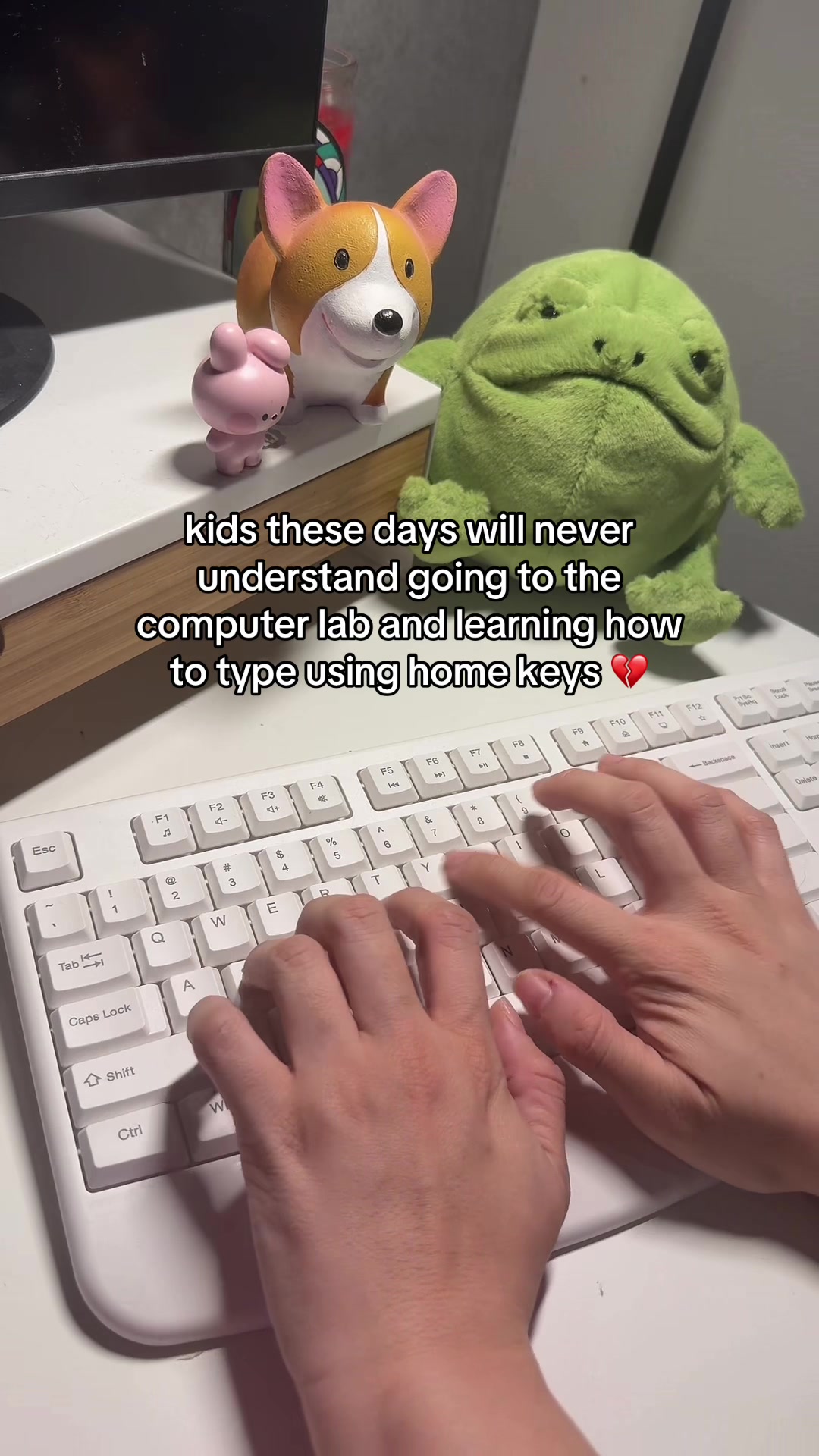 @frog’s asmr 🐸🎧