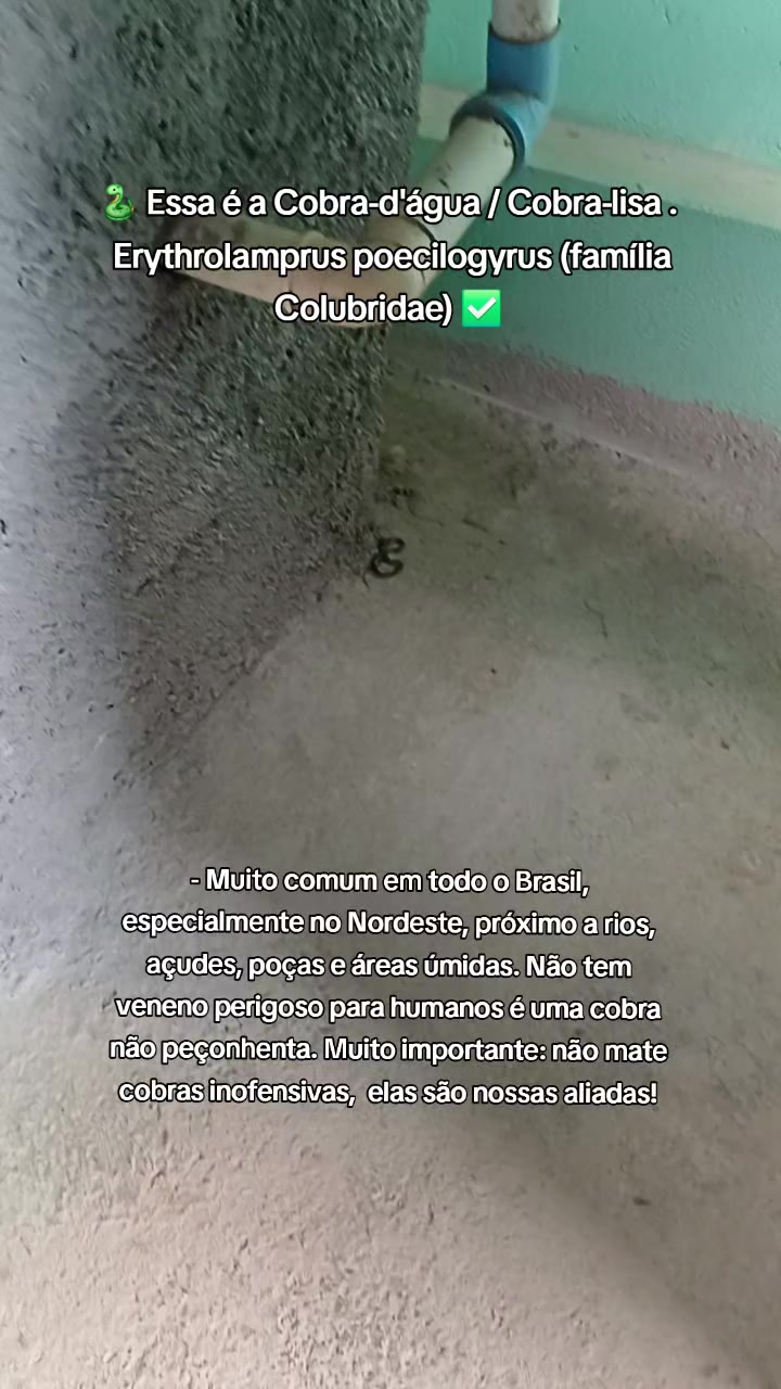 @Amante da natureza
