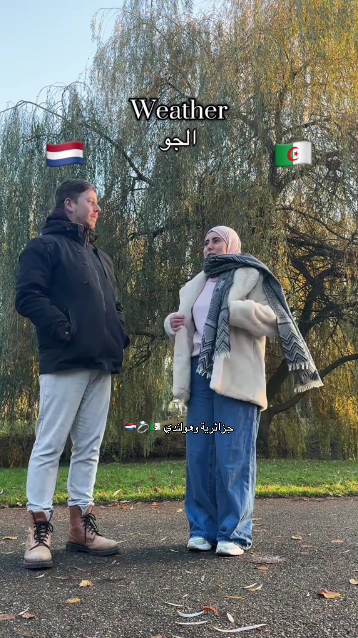 @algerian mix