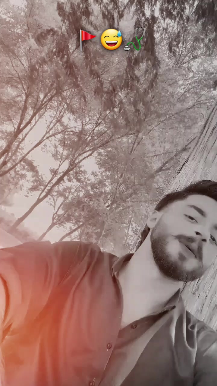 @🕊️🕷️
