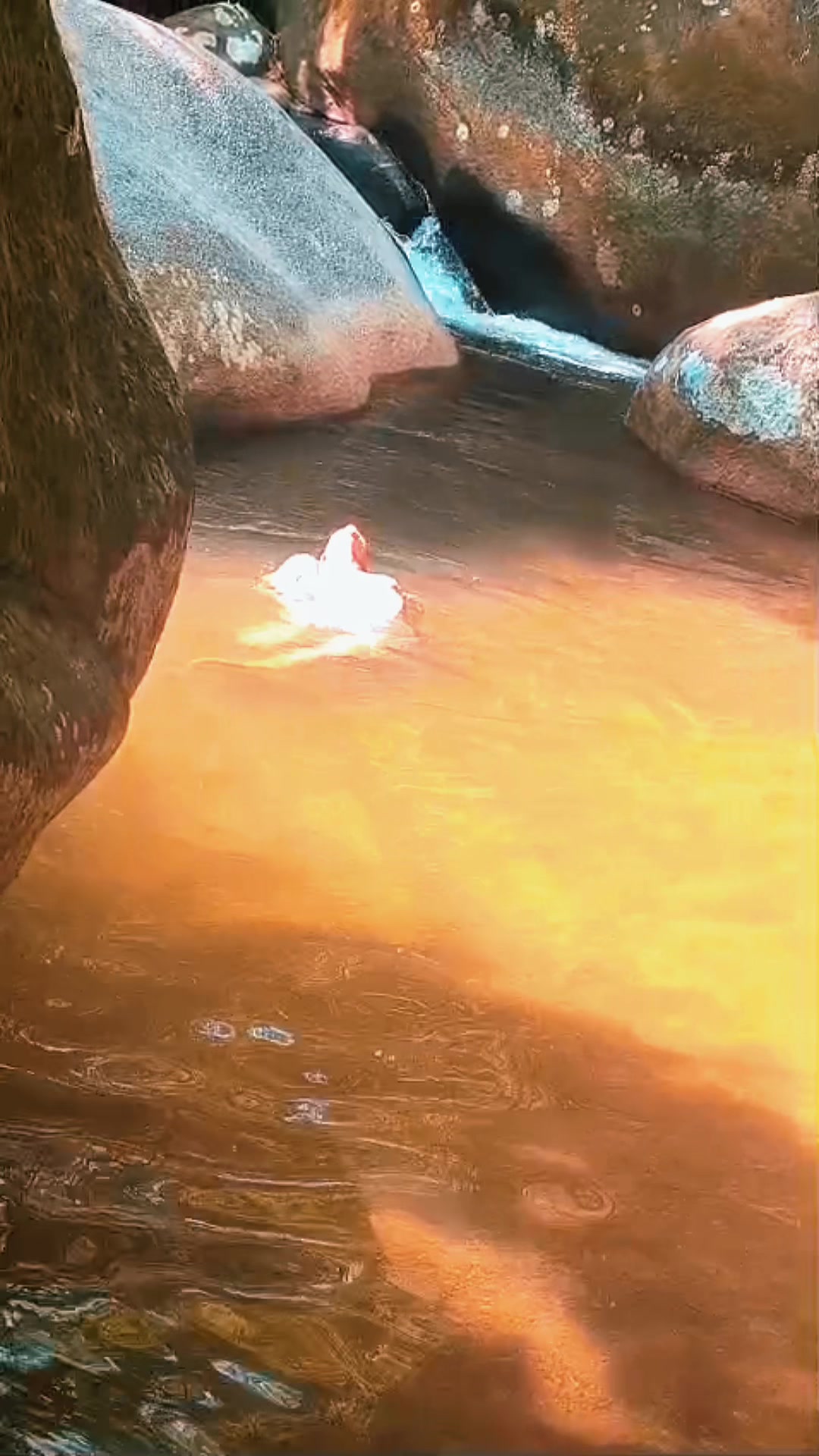@Iy&aacute; Luiza t&rsquo;Yemanj&aacute; 🌊