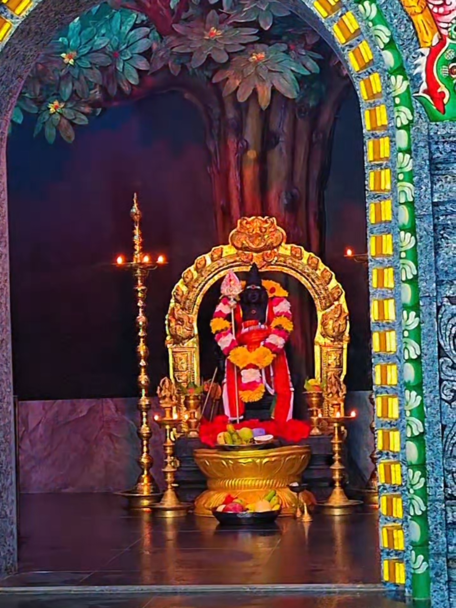 @Karam Ram 🦚✨️🧿