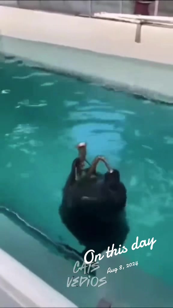 @𝗖𝗔𝗧𝗦