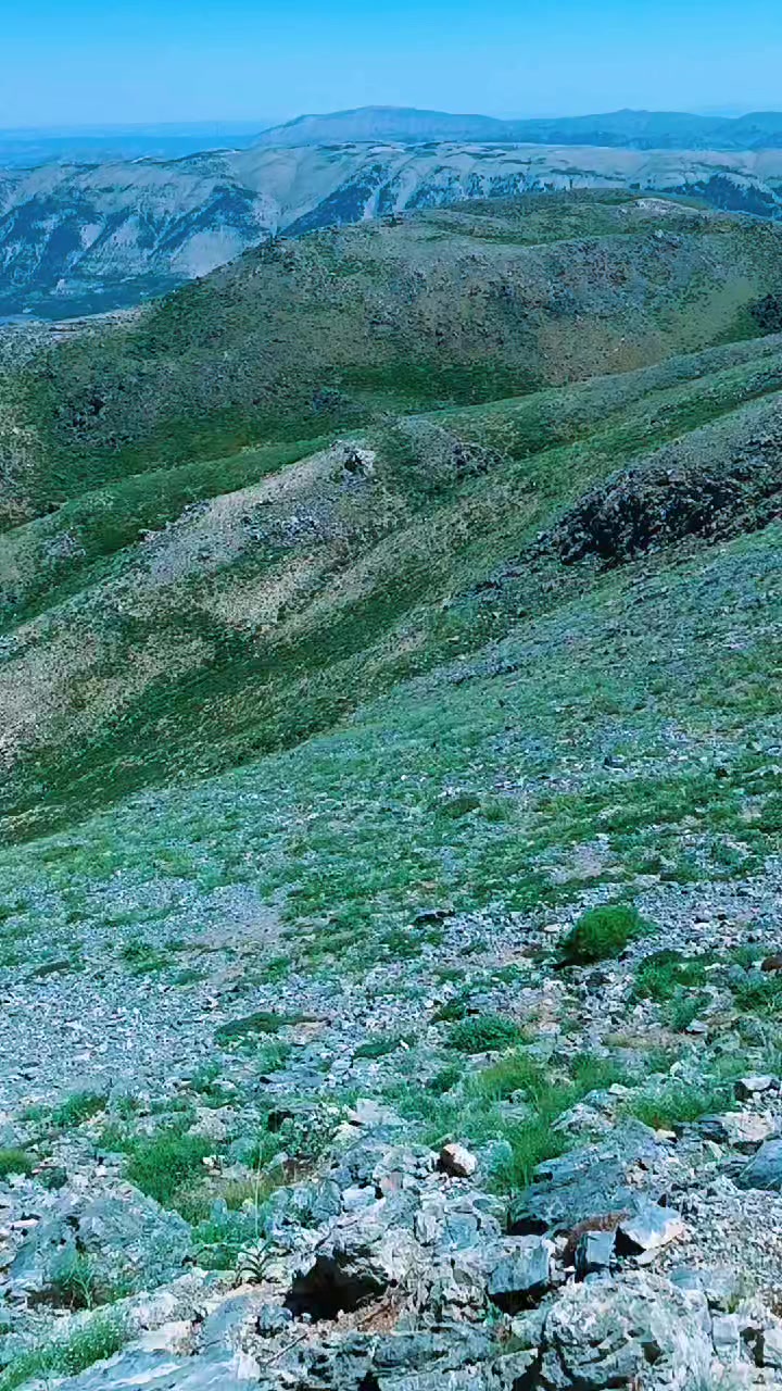 @DAĞCI.46