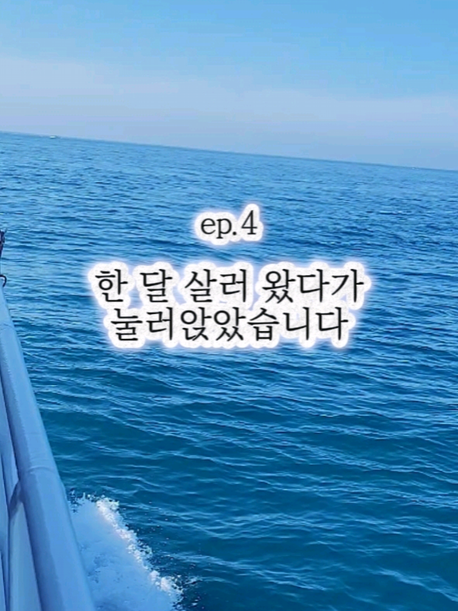 @진심먹거리