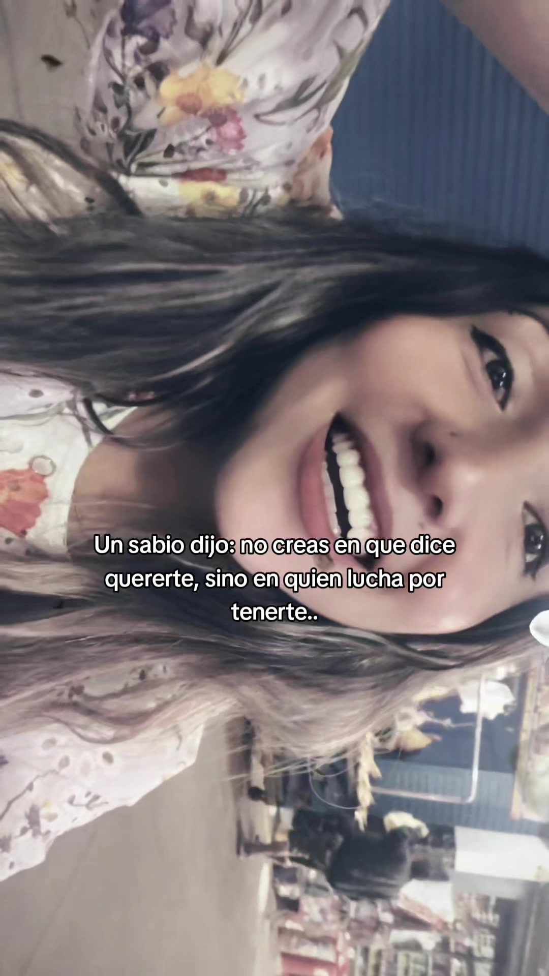 @gatita 😻