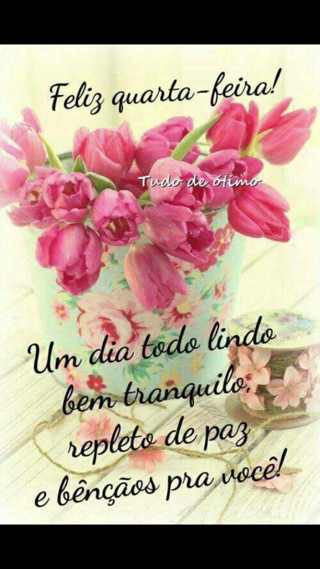@Opoetabeijaflor