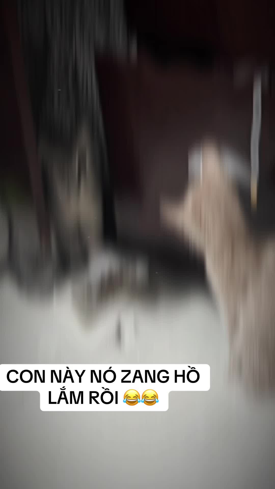 @CÔNG NGHỆ MỚI