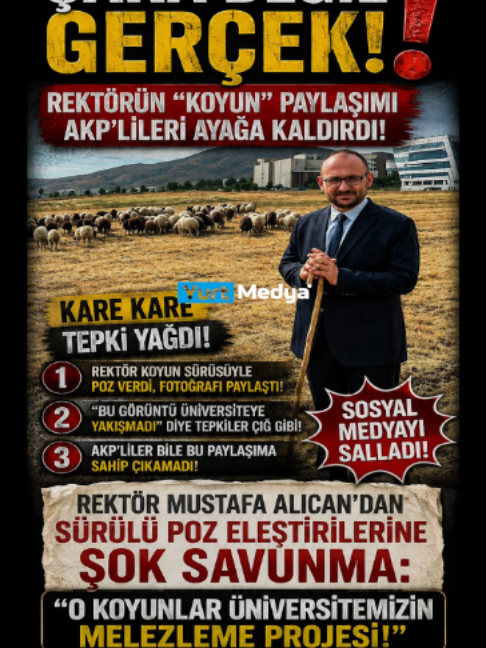 @Yurt Medya