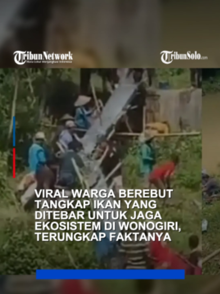 @TribunSolo.com