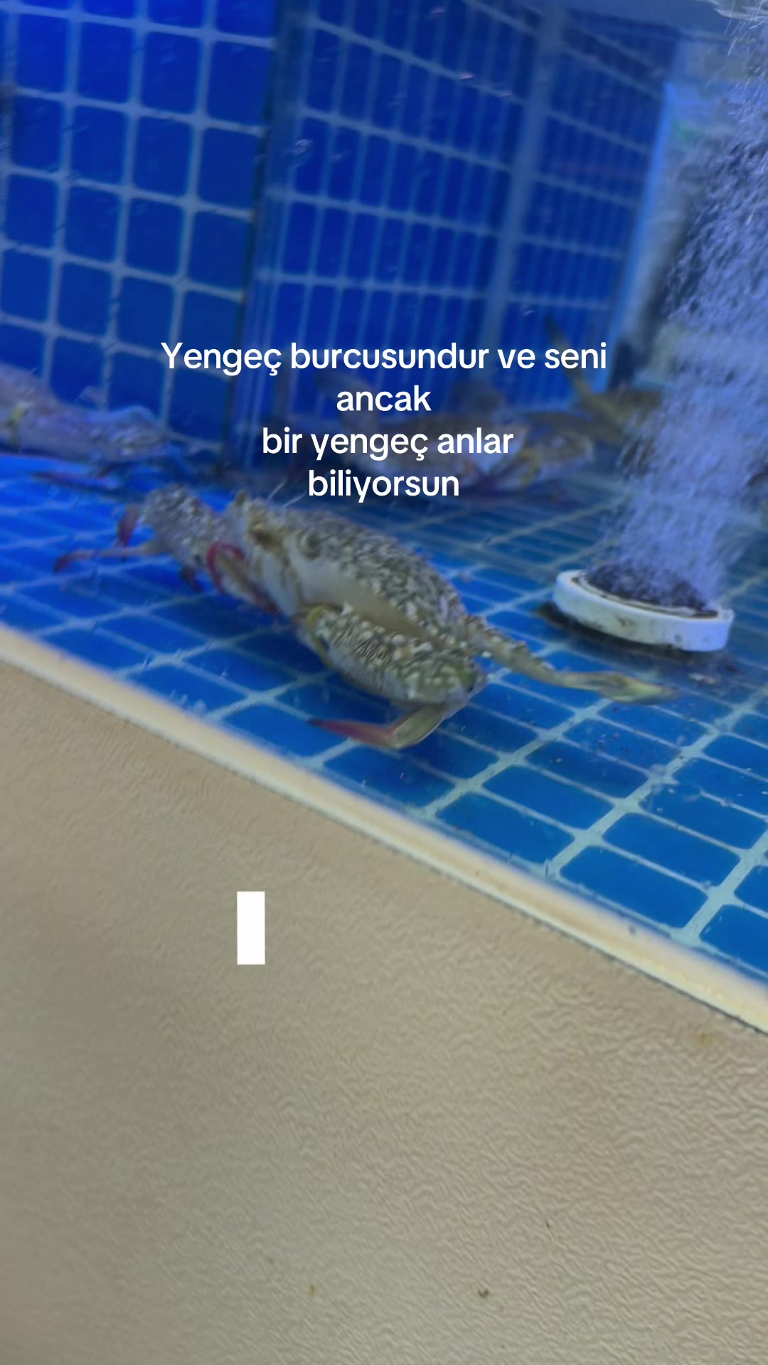 @KumsalAteş