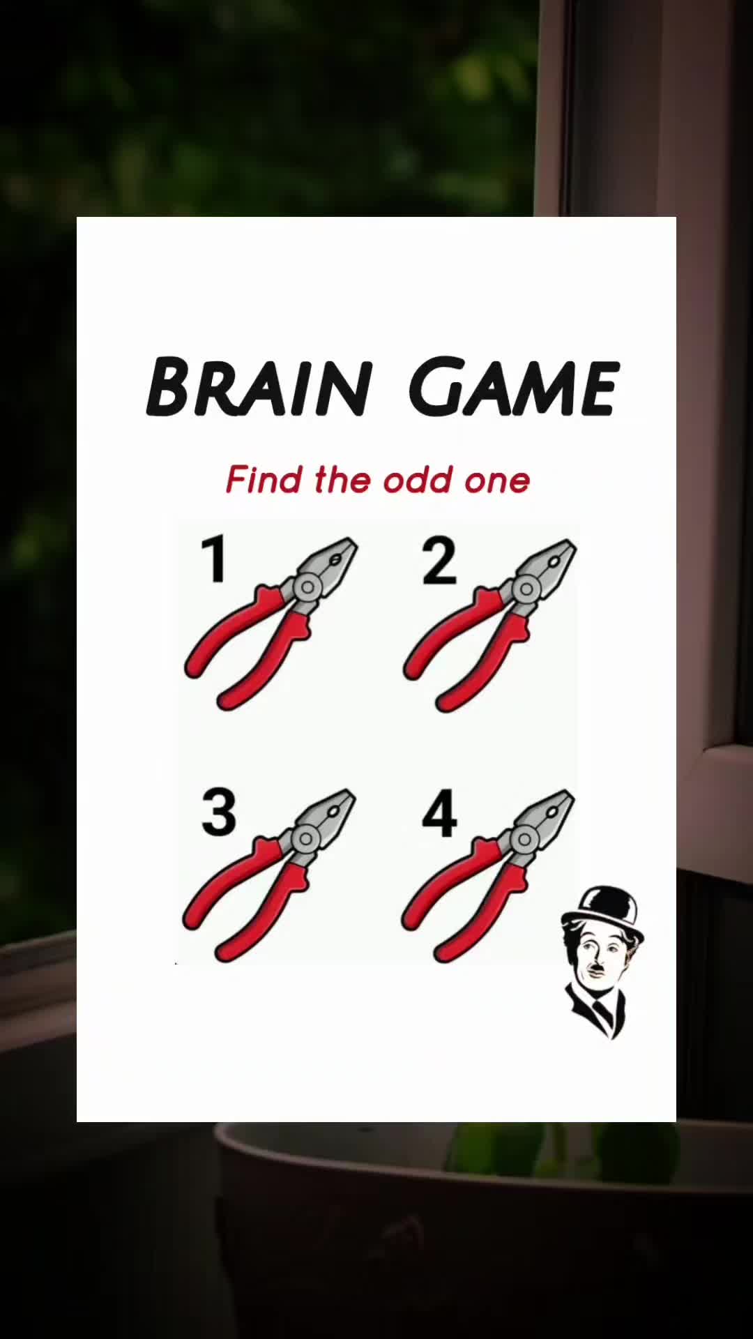 @Tindim-IQ