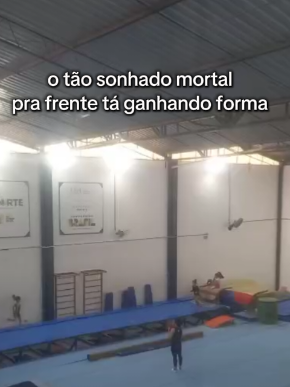 @Sophia Oliveira