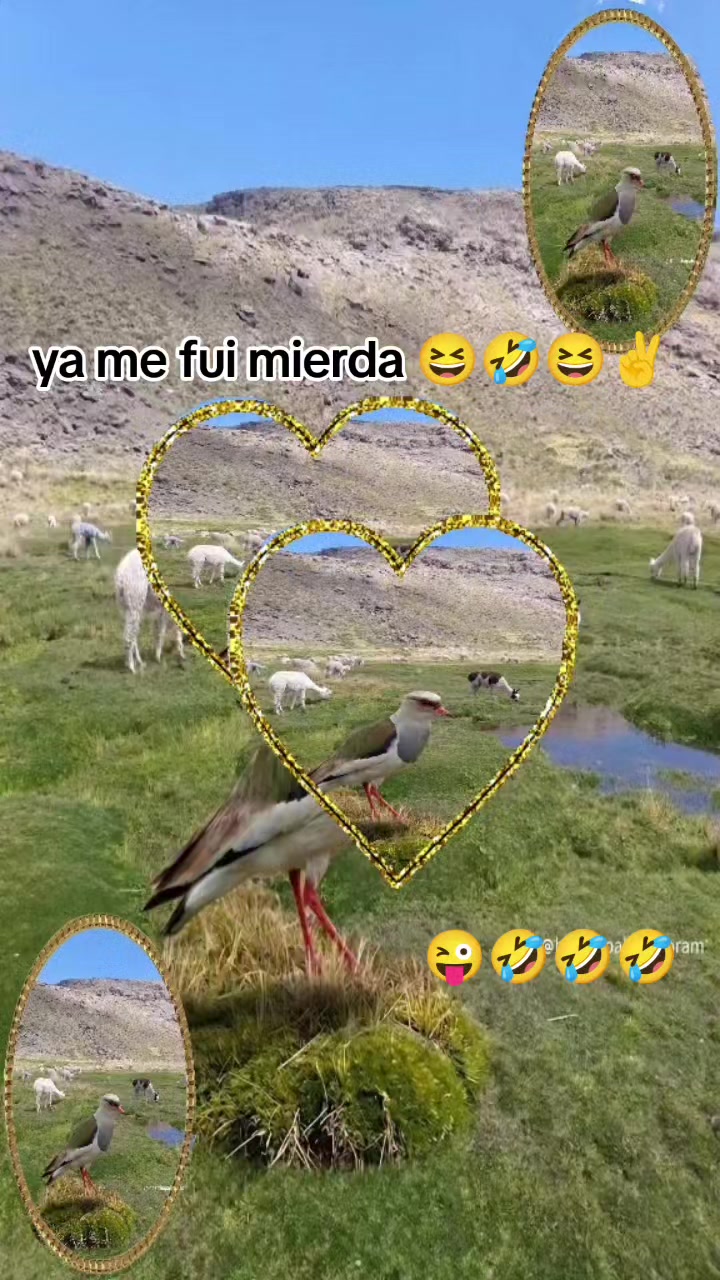 @tu.Maricita
