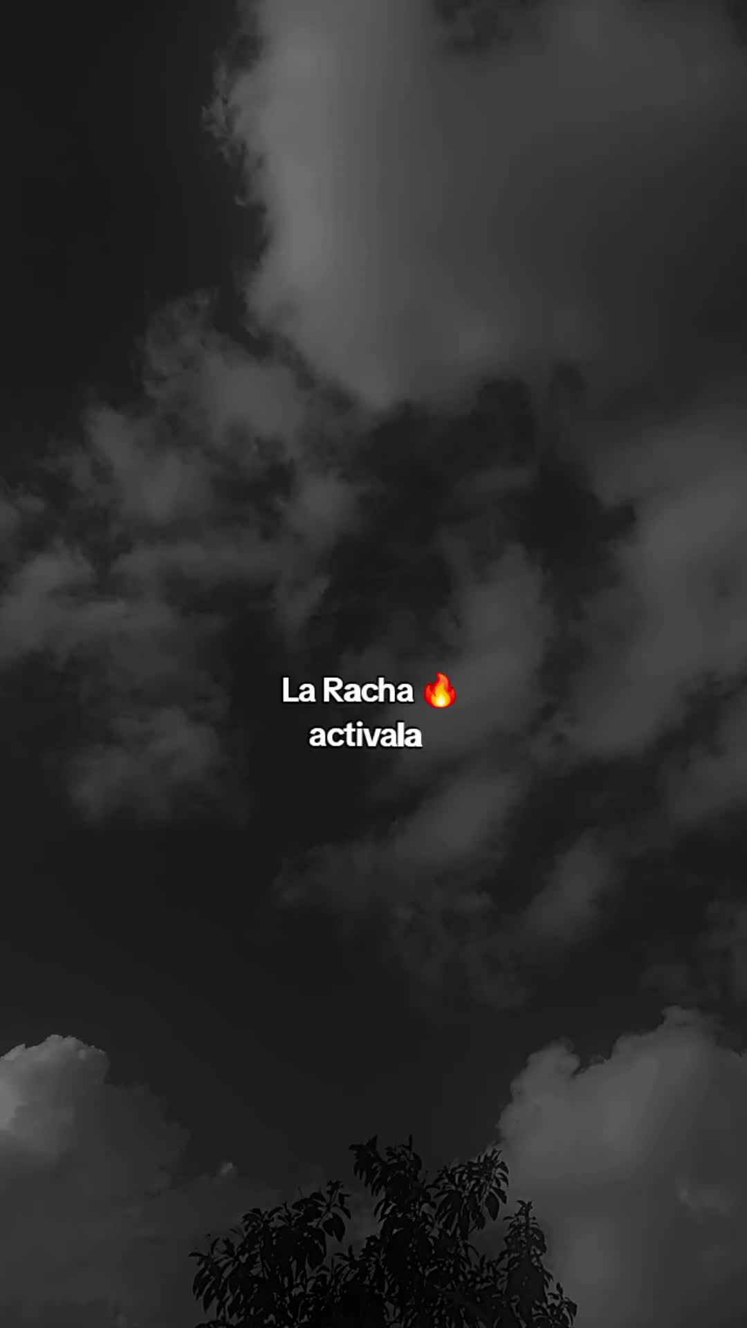 @tu.rachita4