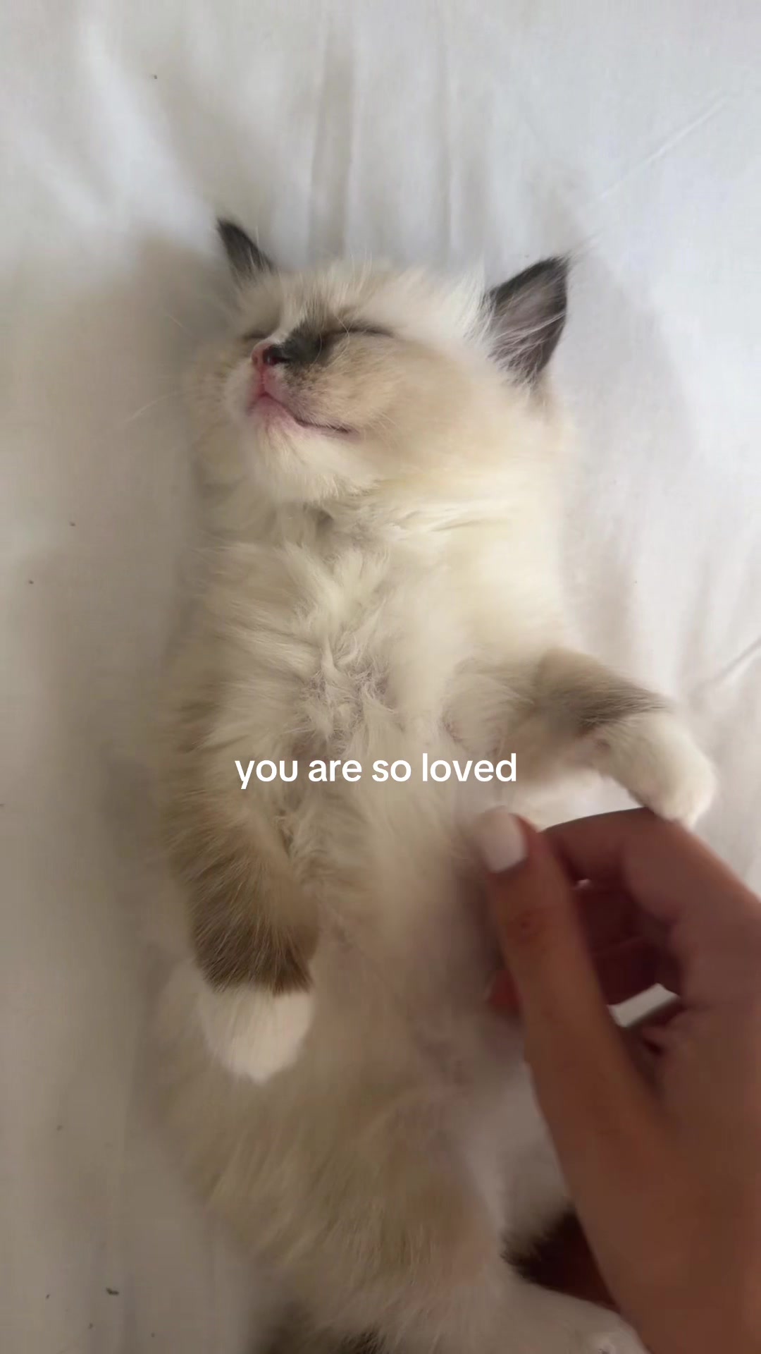 @kyra