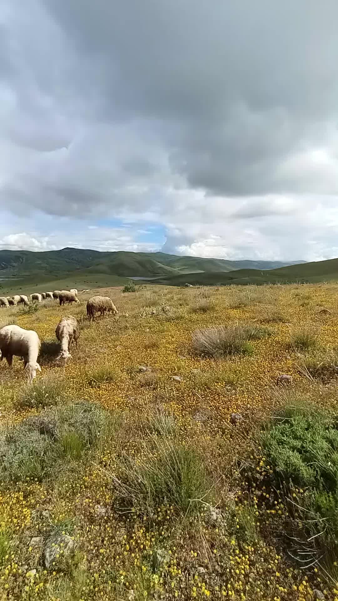 @Furkan STLMŞ 03